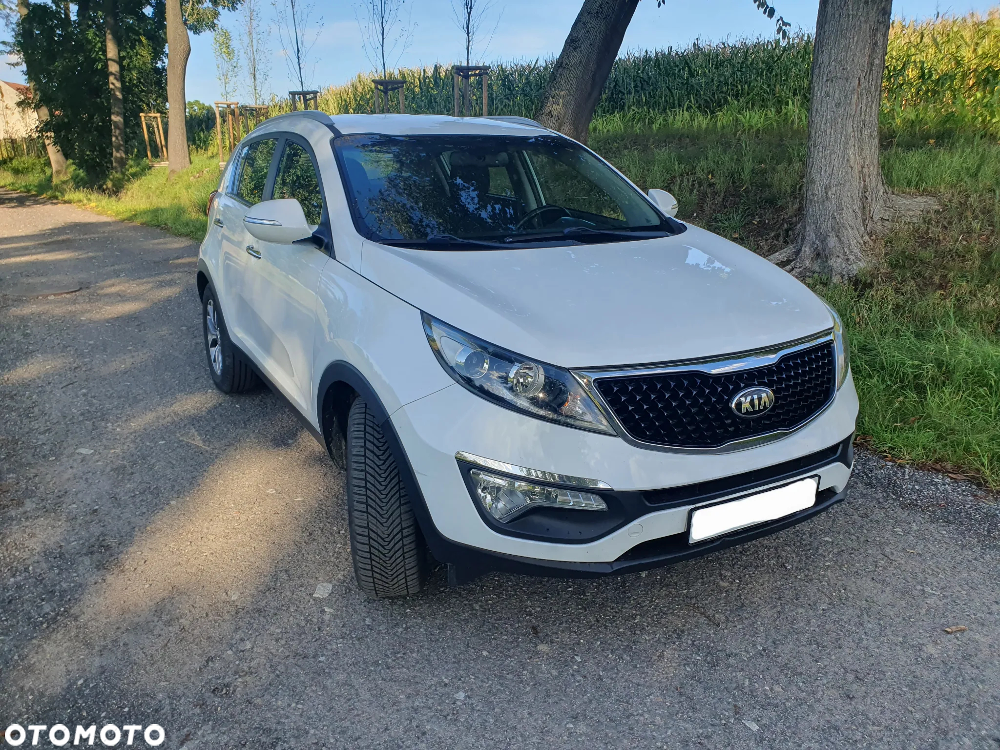 Kia Sportage 1.6 GDI Business Line 2WD - 32