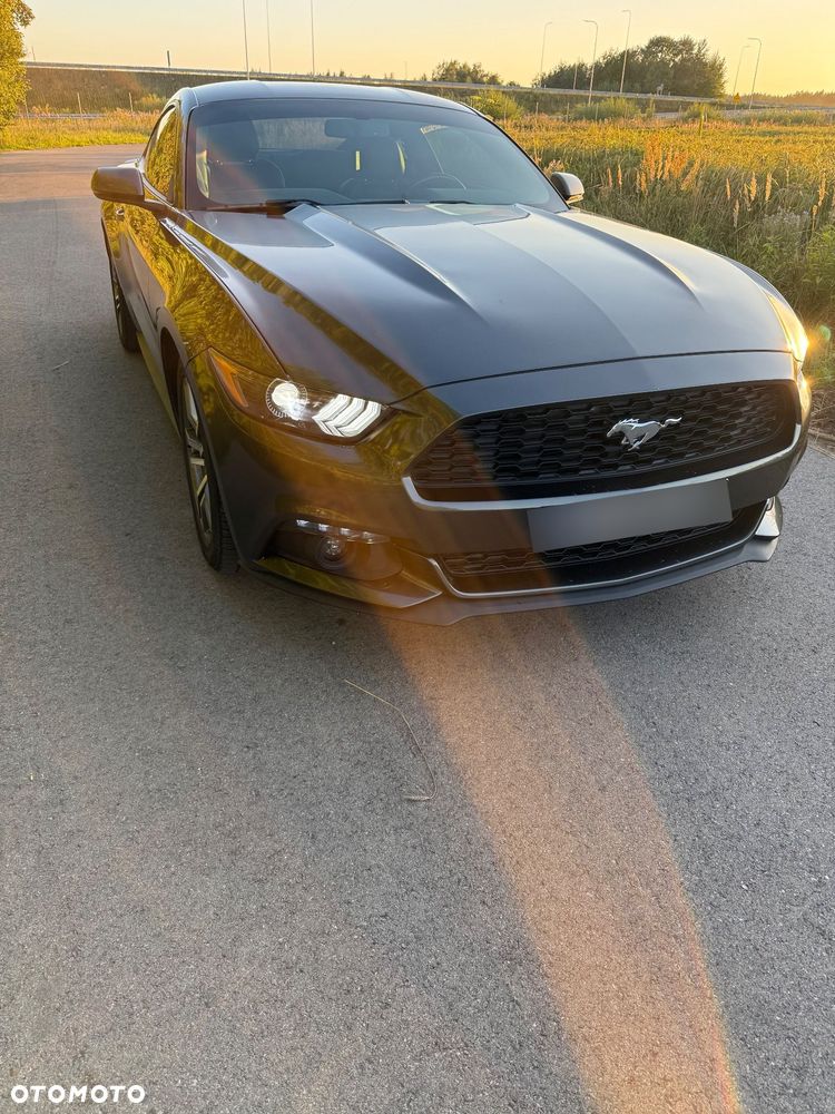Ford Mustang 2.3 EcoBoost - 22
