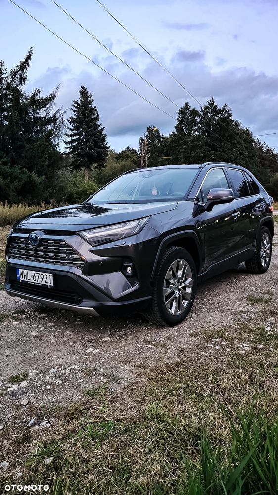Toyota RAV4 2.5 Hybrid Executive 4x4 - 1