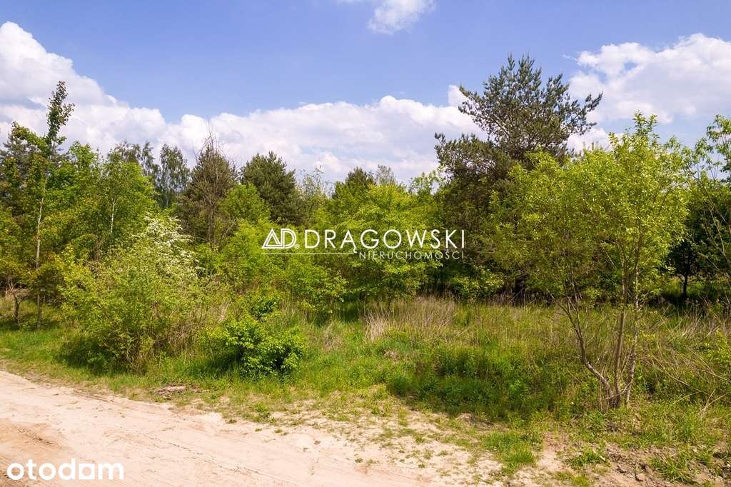 Urokliwa działka budowlana w Łosiu - Pełny obrazek: 3/5