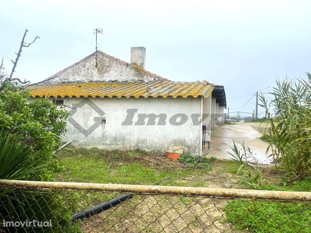 Moradia localizada na Ilha do Pessegueiro - Grande imagem: 3/11