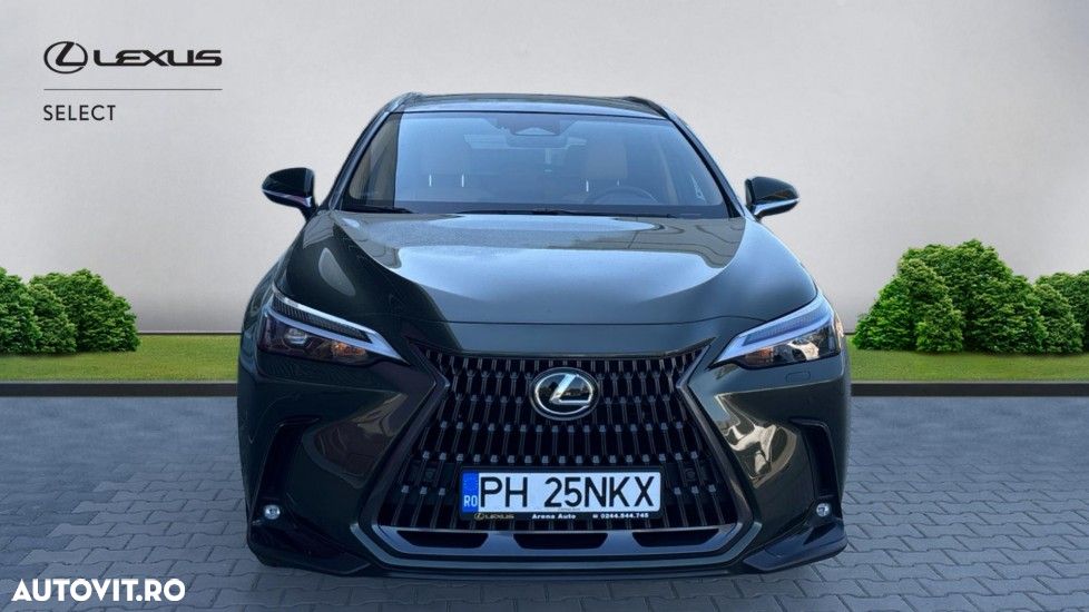 Lexus Seria NX 450h+ AWD CVT PHEV Executive - 5