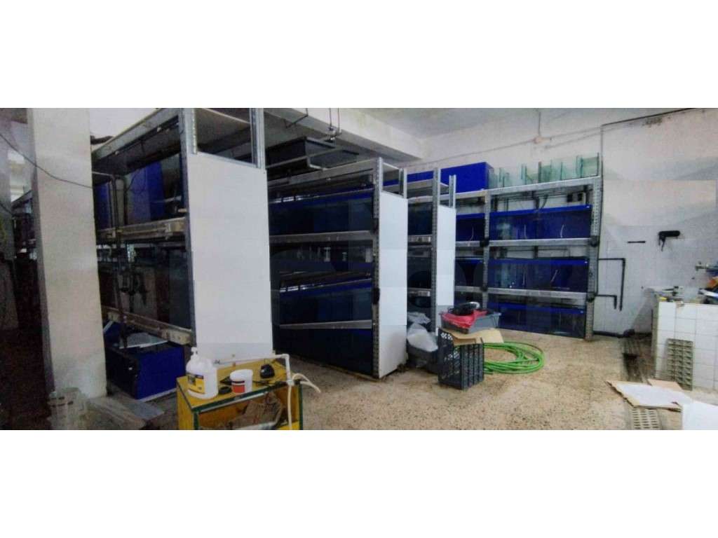 Armazém para Venda em Odivelas. Lisboa - Grande imagem: 2/6