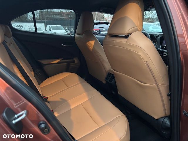 Lexus UX 300h F Sport Design AWD - 17