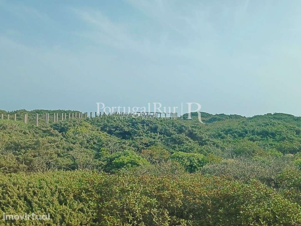 Terreno com 474.750 m² a 3 km das praias e vistas de mar - Grande imagem: 5/20