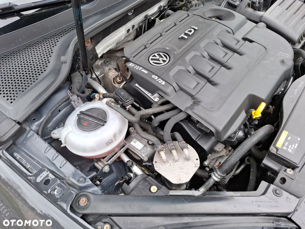 Volkswagen Golf - 25