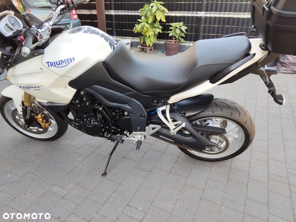 Triumph Tiger - 13