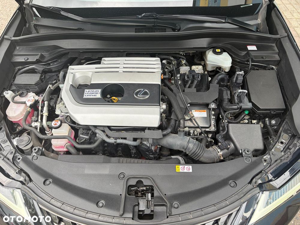 Lexus UX - 31