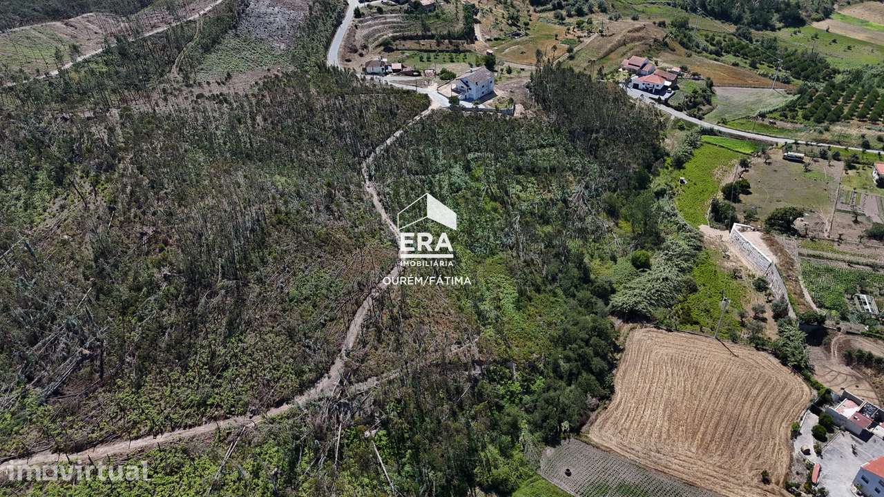 Terreno Florestal em Matas, Ourém - Grande imagem: 5/16