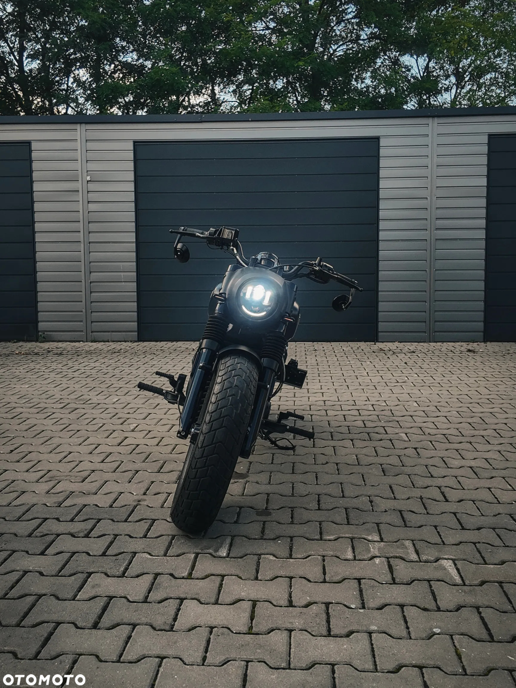 Indian Scout - 6