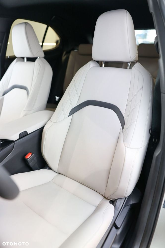 Lexus UX 300h F Sport Design - 18