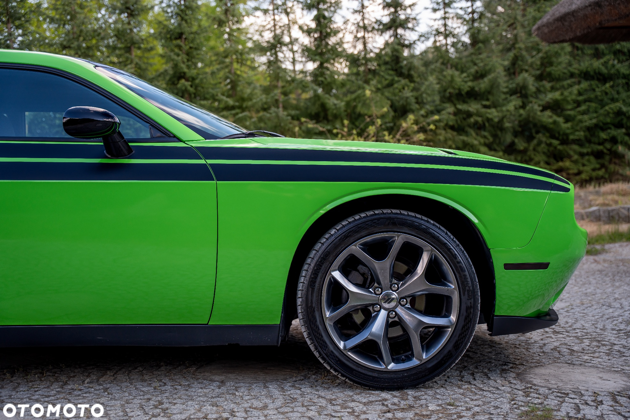 Dodge Challenger Automatik SXT Plus - 17