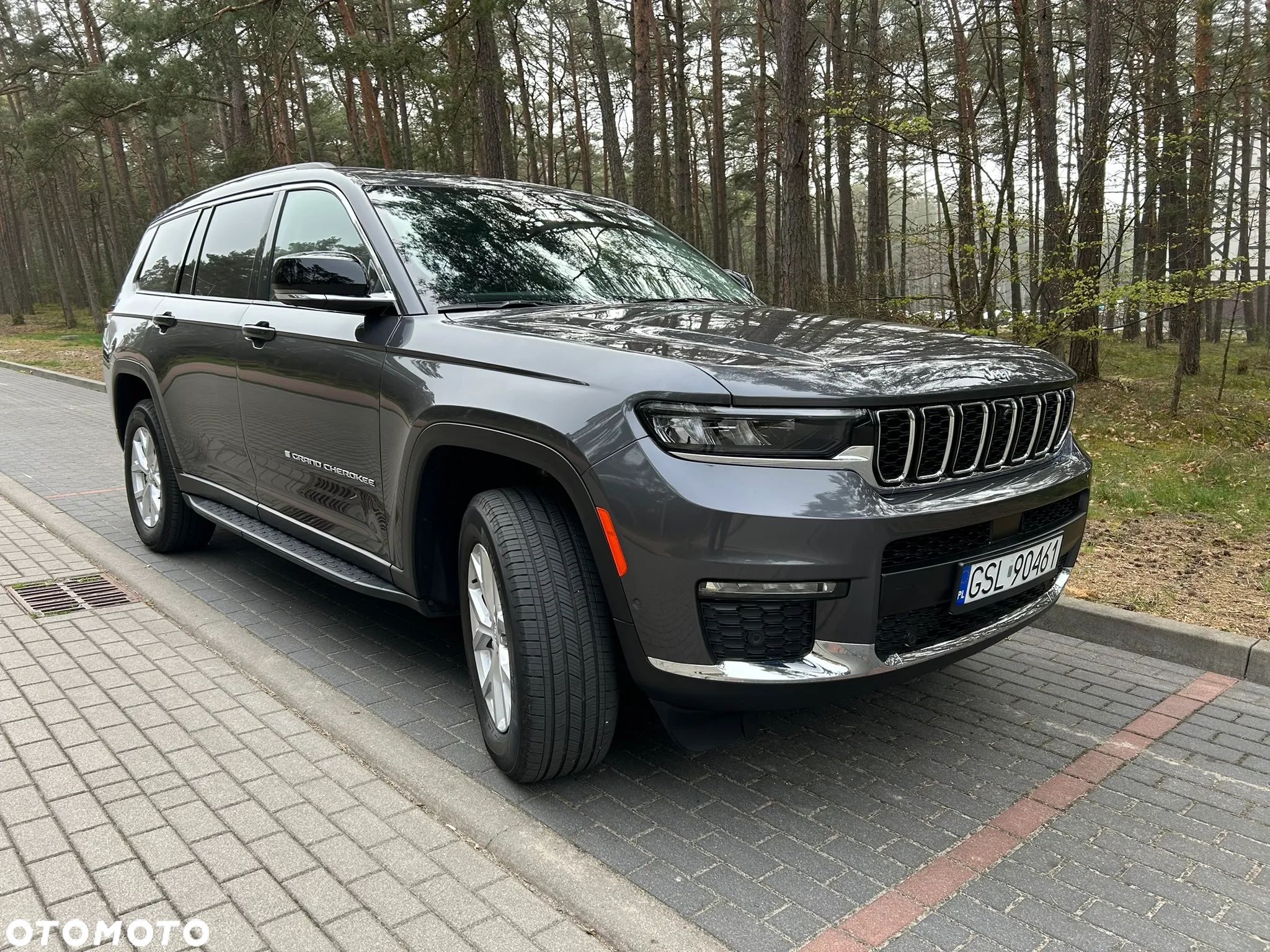 Jeep Grand Cherokee - 1