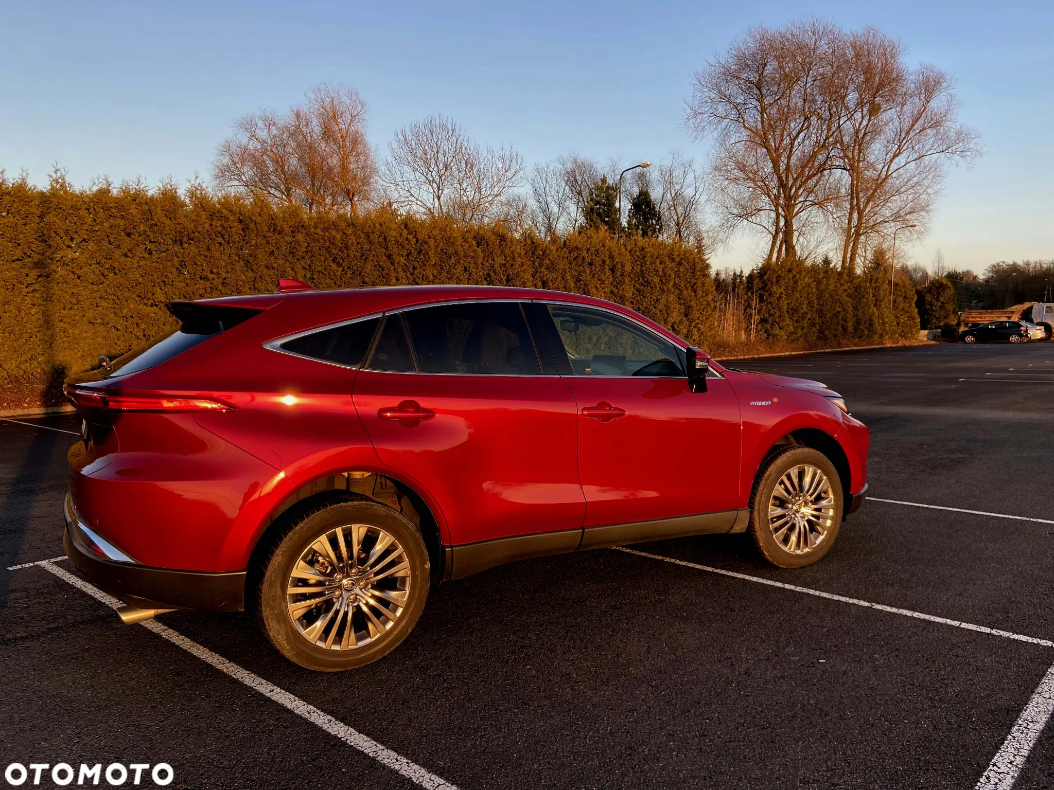Toyota Venza - 8