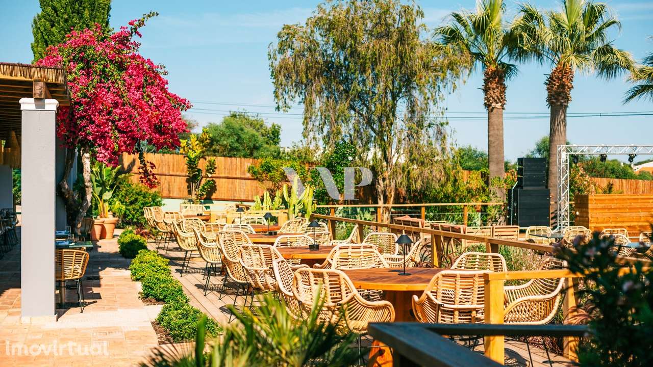 Restaurante ao Ar Livre com Deck de Madeira e Ambiente Tropical Envolv - Grande imagem: 4/10