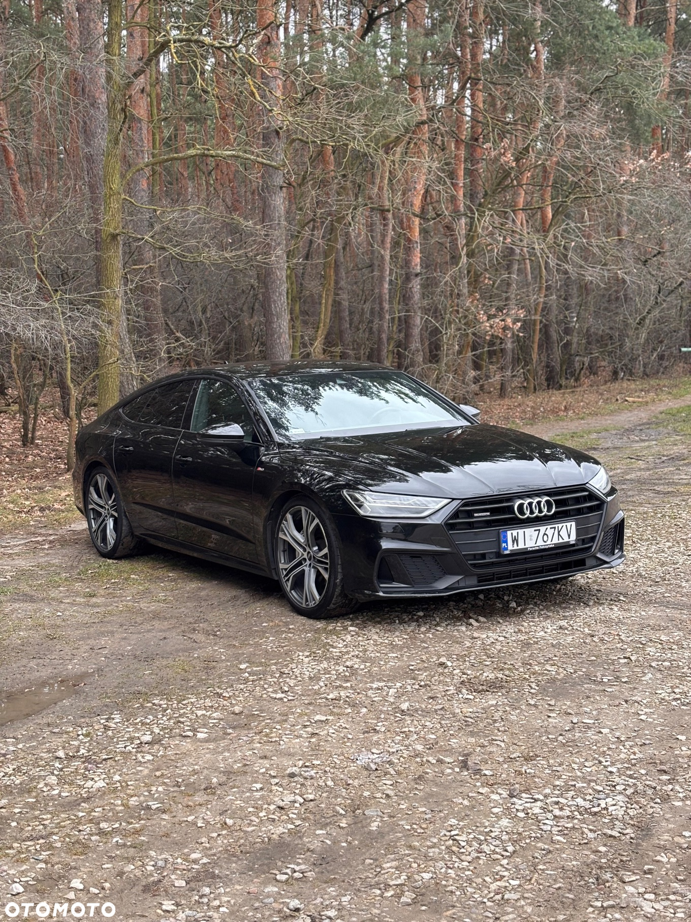 Audi A7 Sportback 45 TFSI Quattro S tronic - 7