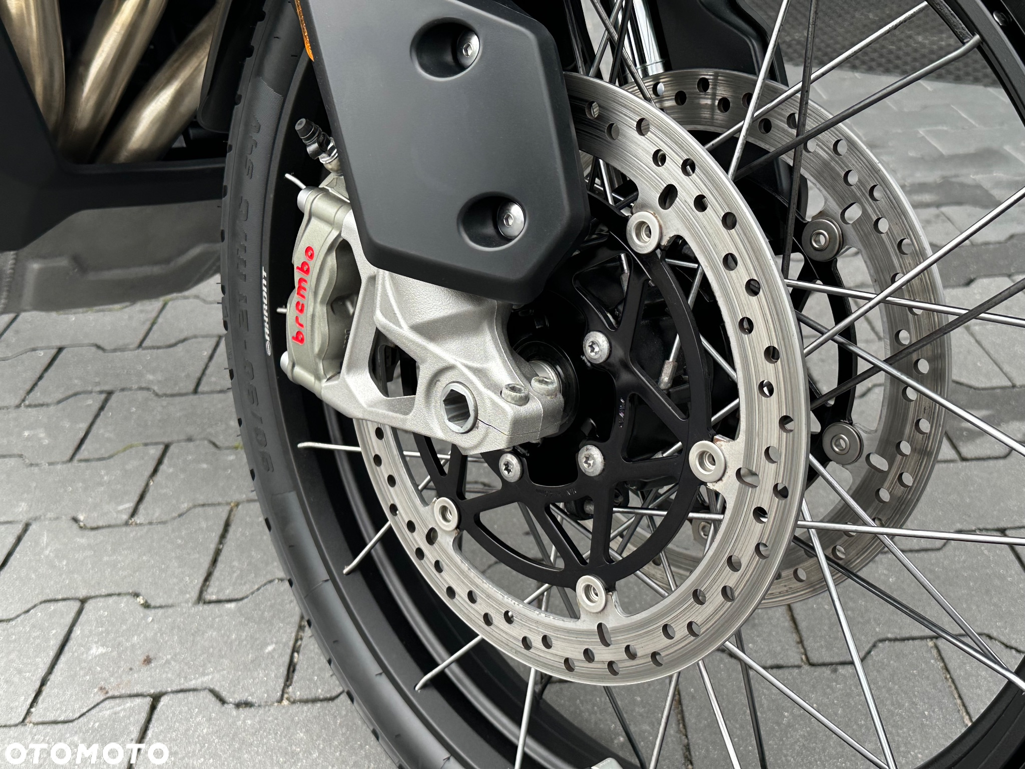 Triumph Tiger - 21