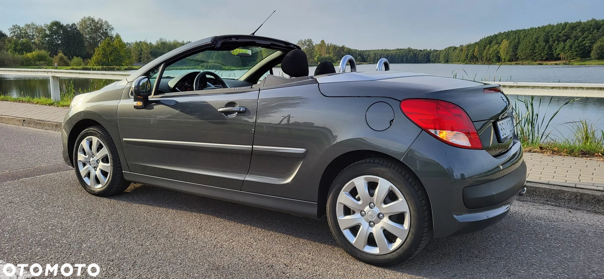 Peugeot 207 - 5
