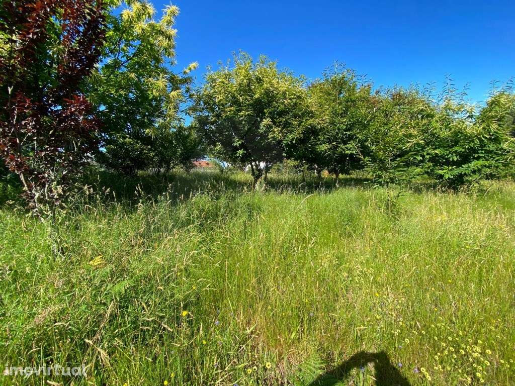 Excelente terreno para construção - Grande imagem: 5/9