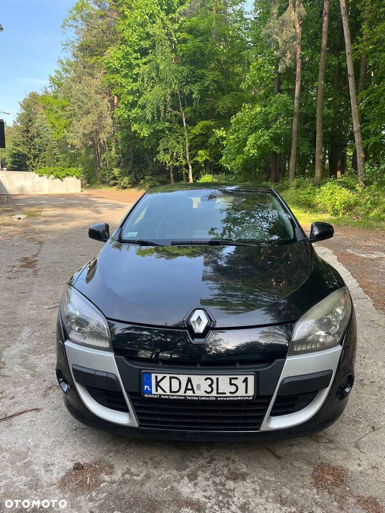 Renault Megane 1.9 dCi Dynamique - 1