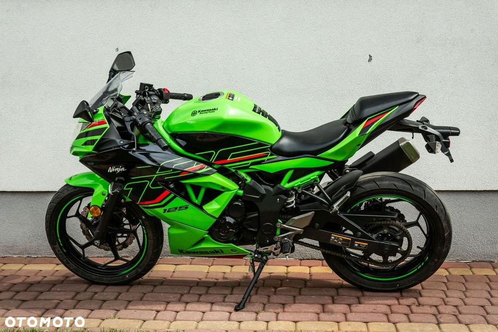 Kawasaki Ninja - 10