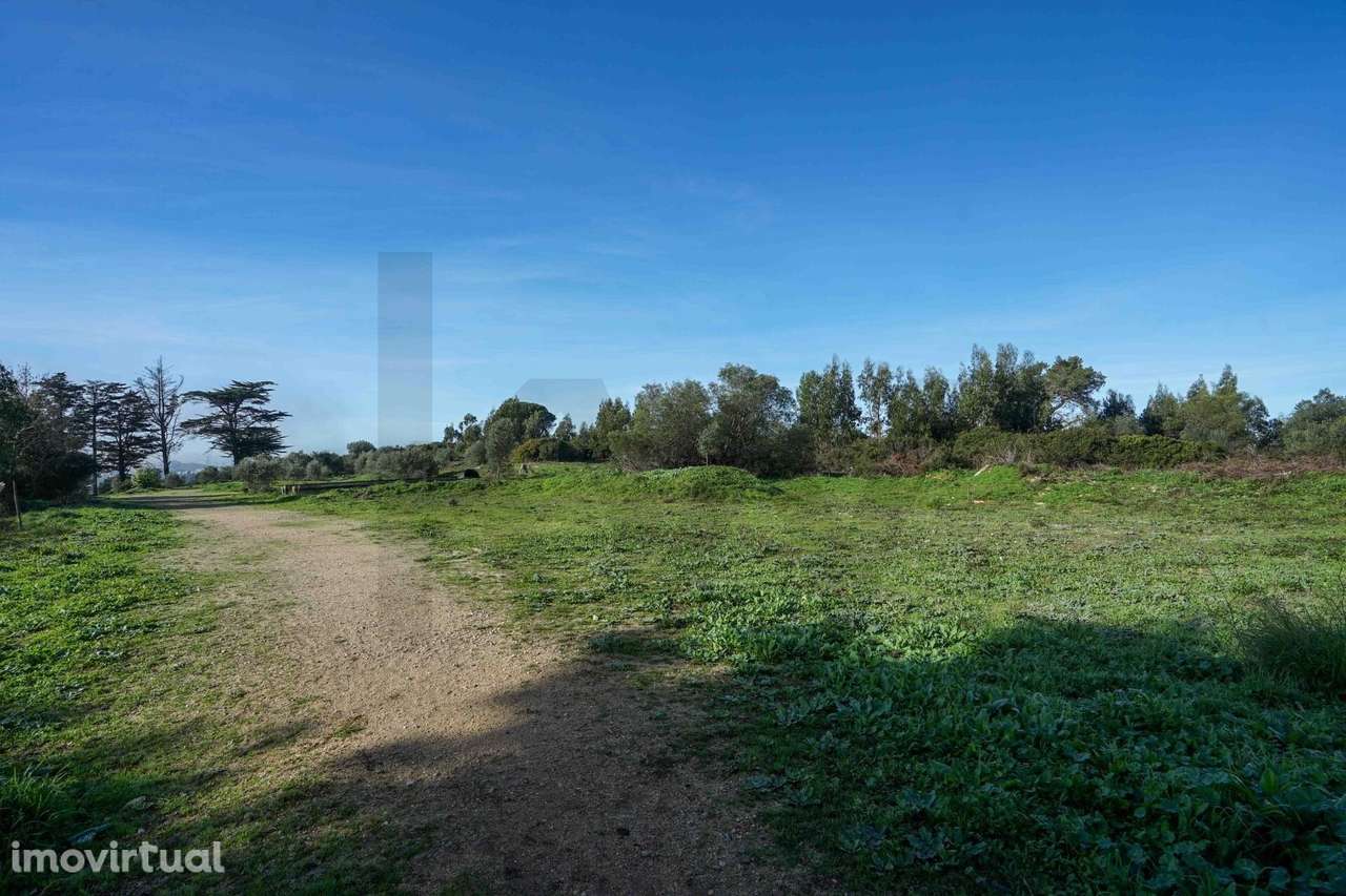 Terreno Urbano 6000 m2 em Belas – Excelente Oportunidade de Investimen - Grande imagem: 3/14