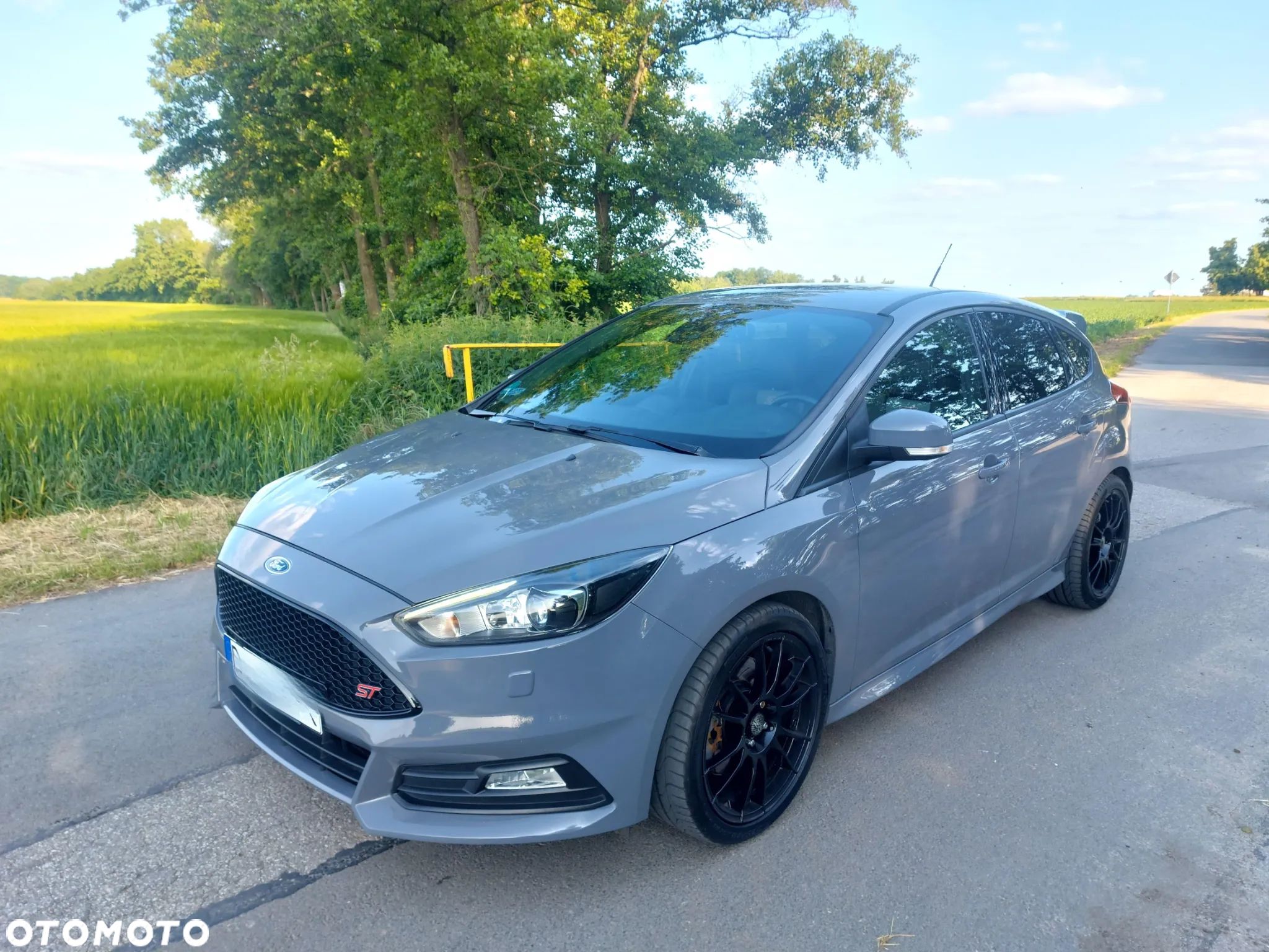 Ford Focus 2.0 EcoBoost ST-2 - 1