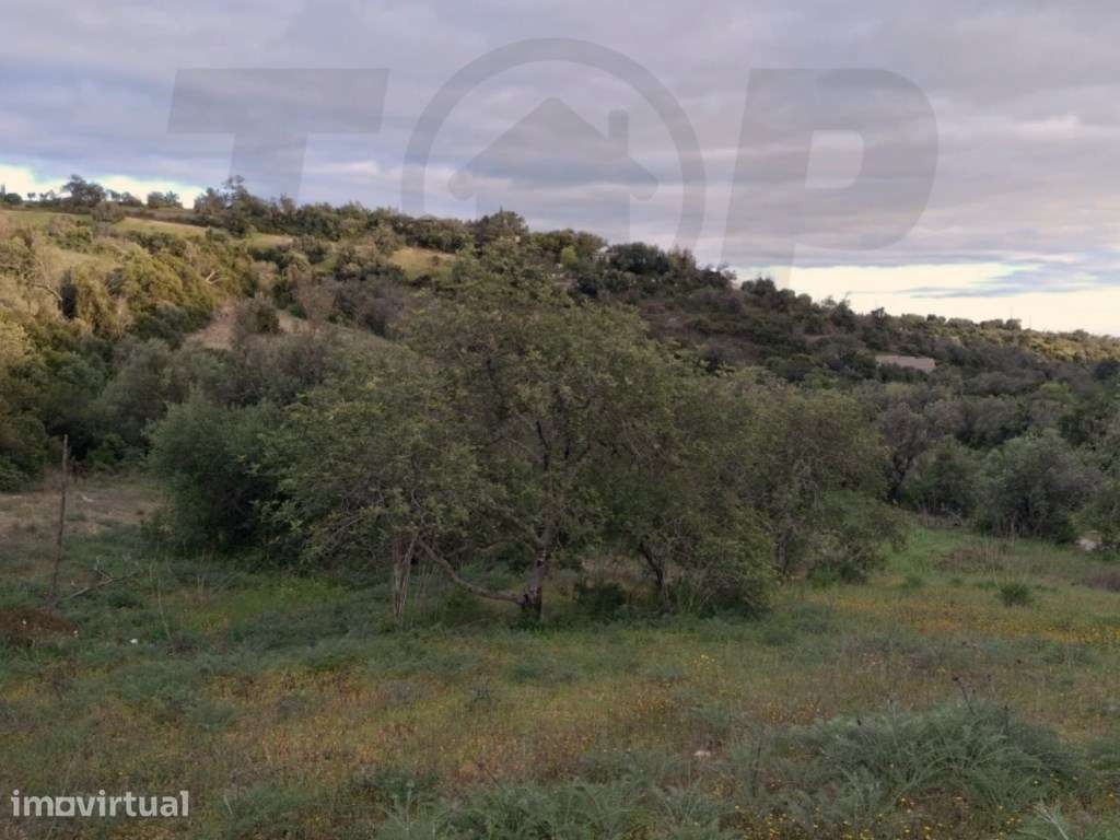 Terreno Rústico com 8.618 m² - São Sebastião, Loulé - 114.000 € - Grande imagem: 4/5