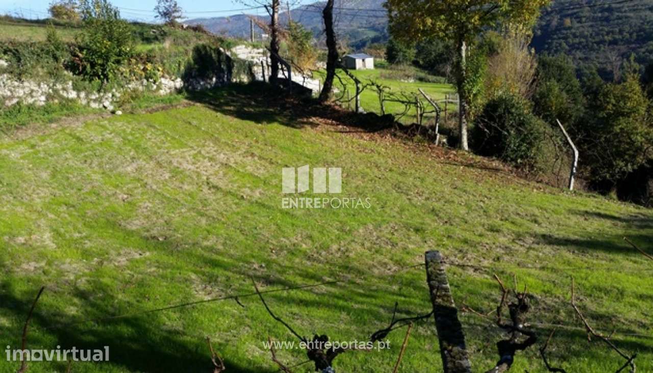 Venda Terreno, vista desafogada, Ovil, Baião - Grande imagem: 3/12