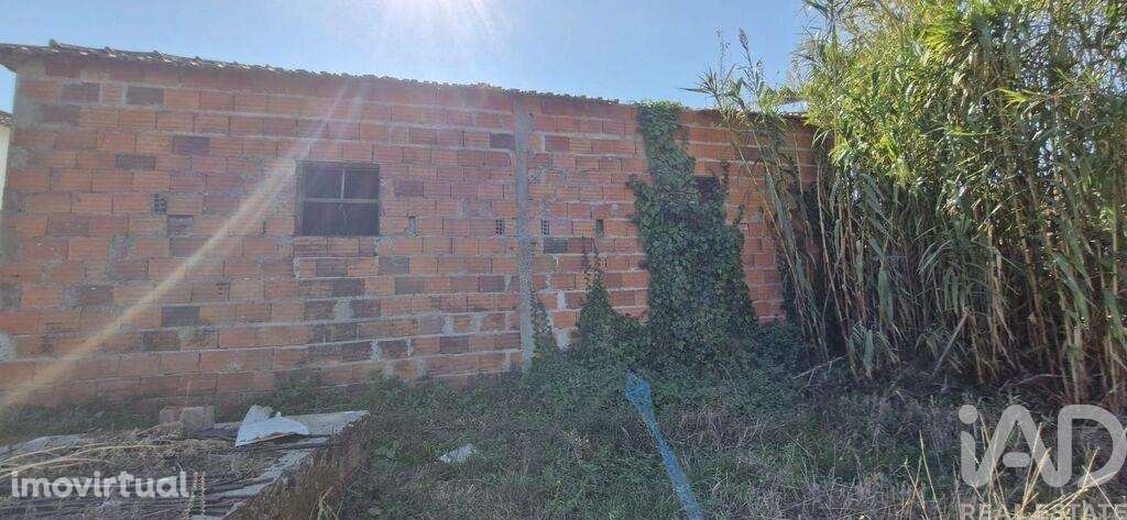 Hangar em Alcobertas de 180,00 m2 - Grande imagem: 3/26