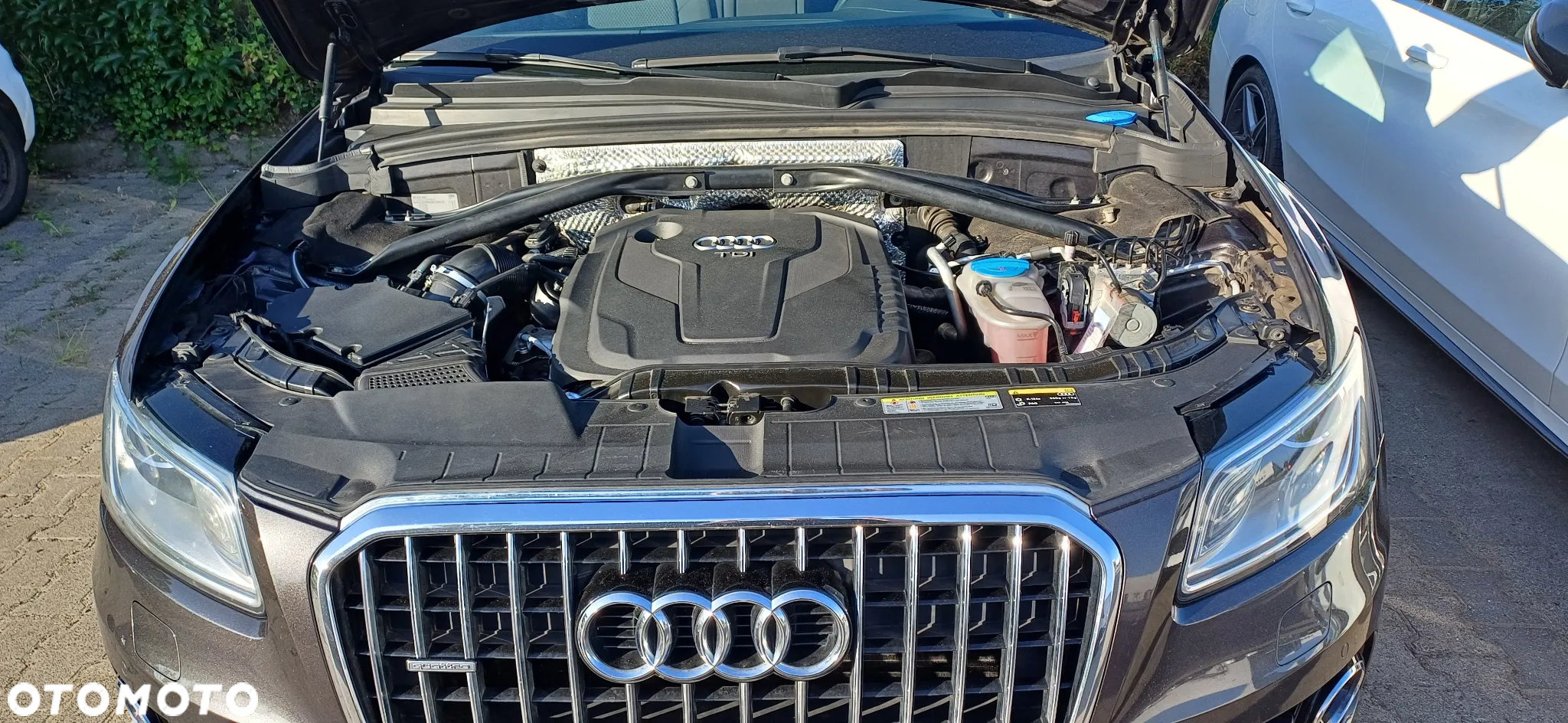Audi Q5 - 30