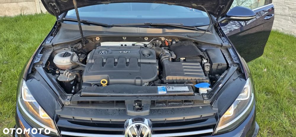 Volkswagen Golf 2.0 TDI BlueMotion Technology DSG Allstar - 2