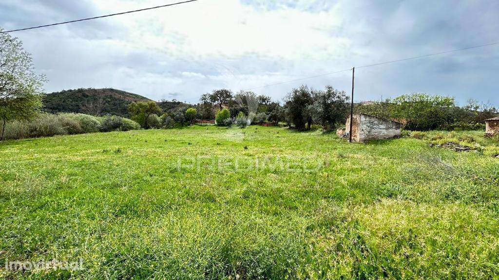 Terreno Misto - Grande imagem: 3/4