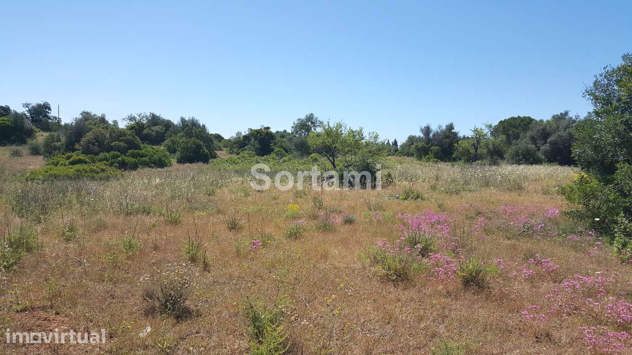 Terreno Para Construção  Venda em Armação de Pêra,Silves - Grande imagem: 5/12