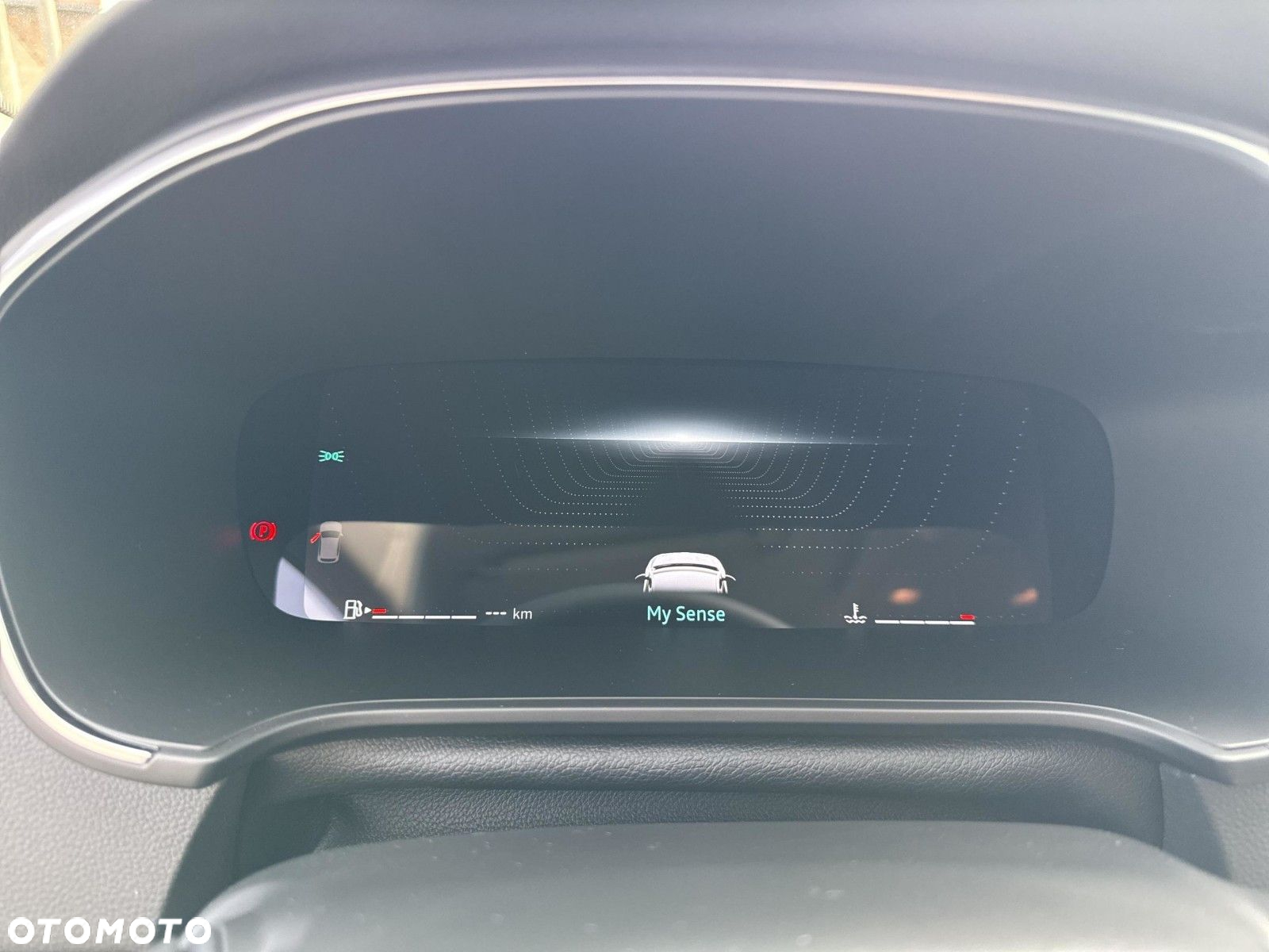 Renault Megane - 14