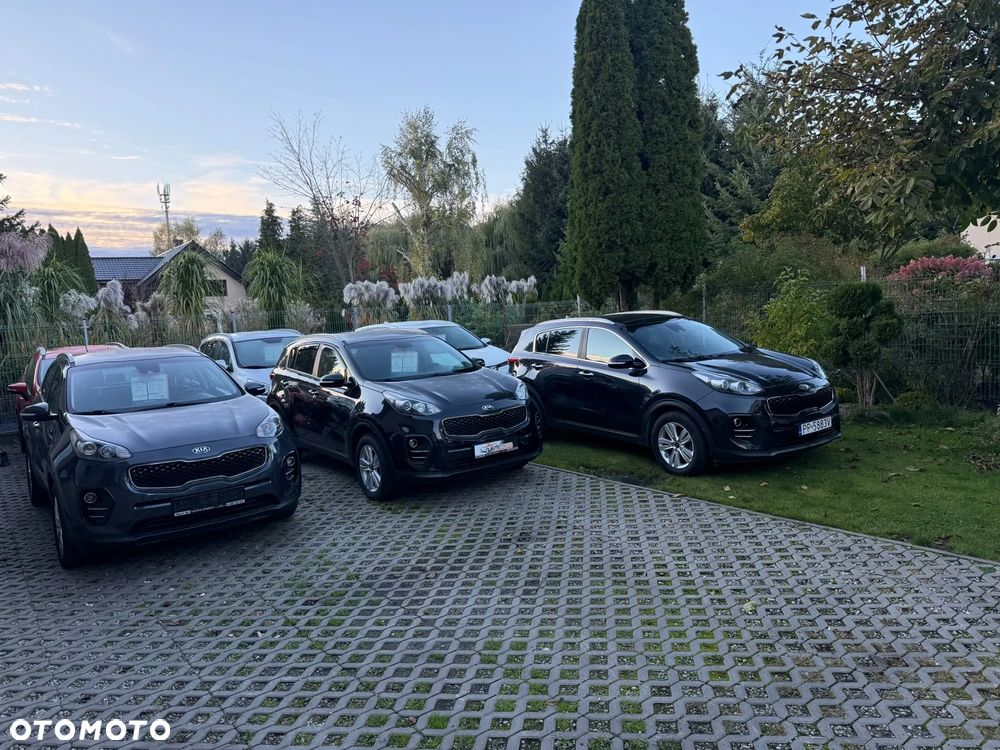 Kia Sportage - 30