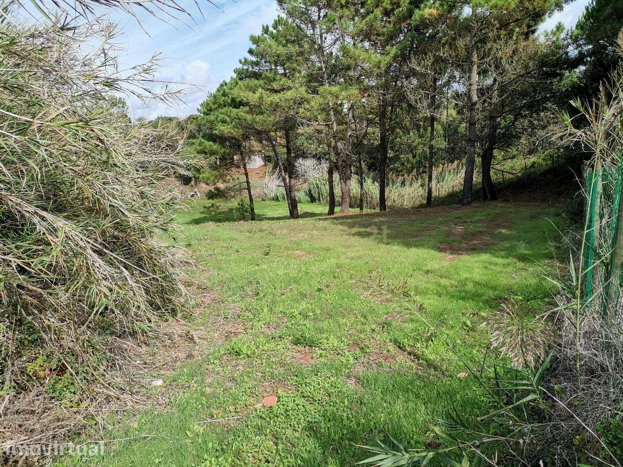 Terreno na Serra dos Mangues - Cova do Poço - Grande imagem: 5/8