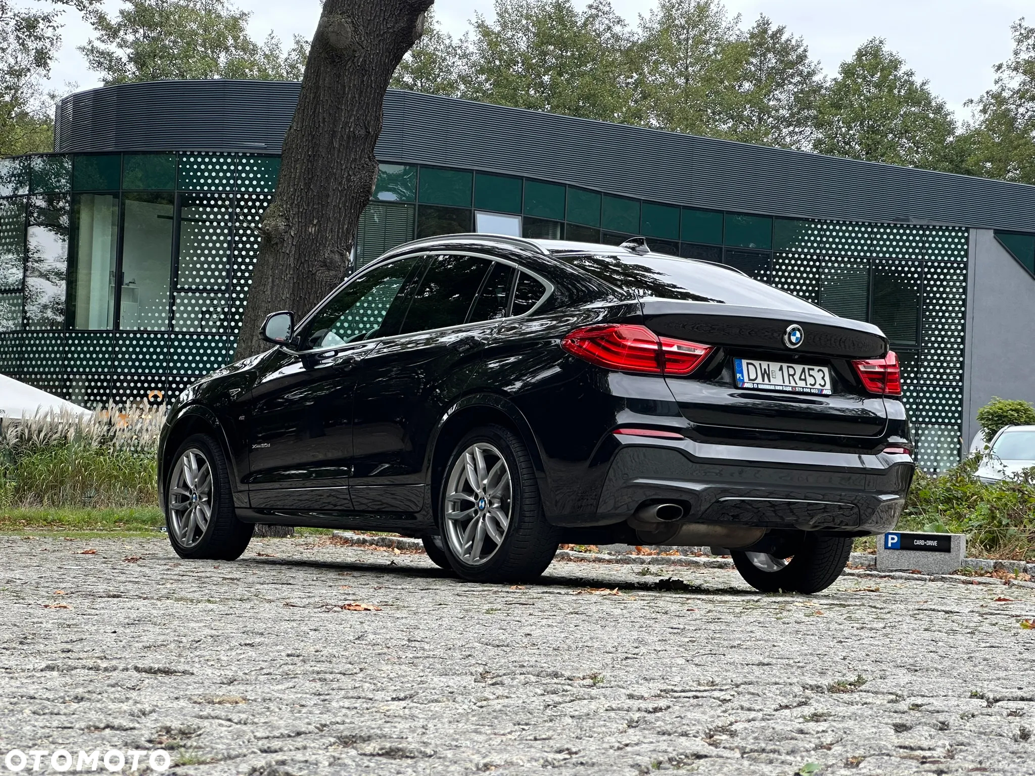 BMW X4 xDrive20d Edycja M Sport - 8