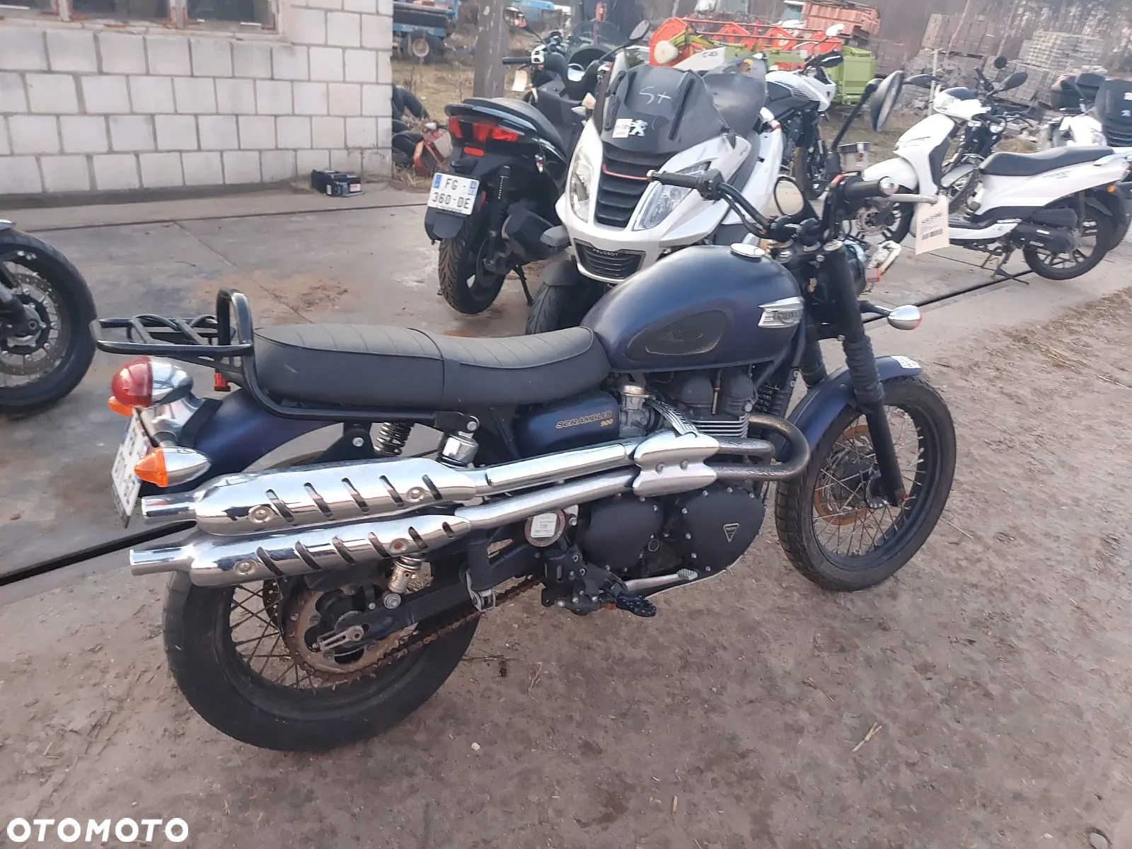 Triumph Scrambler - 4