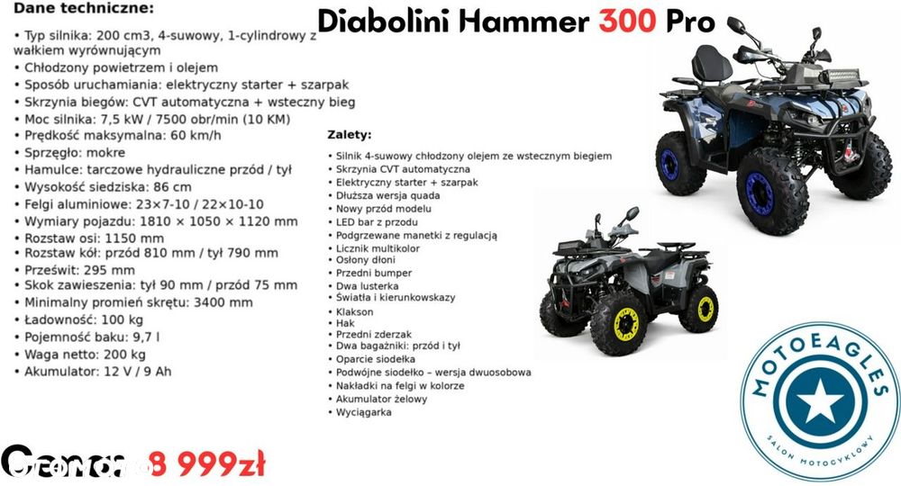 Diabolini Inny - 21