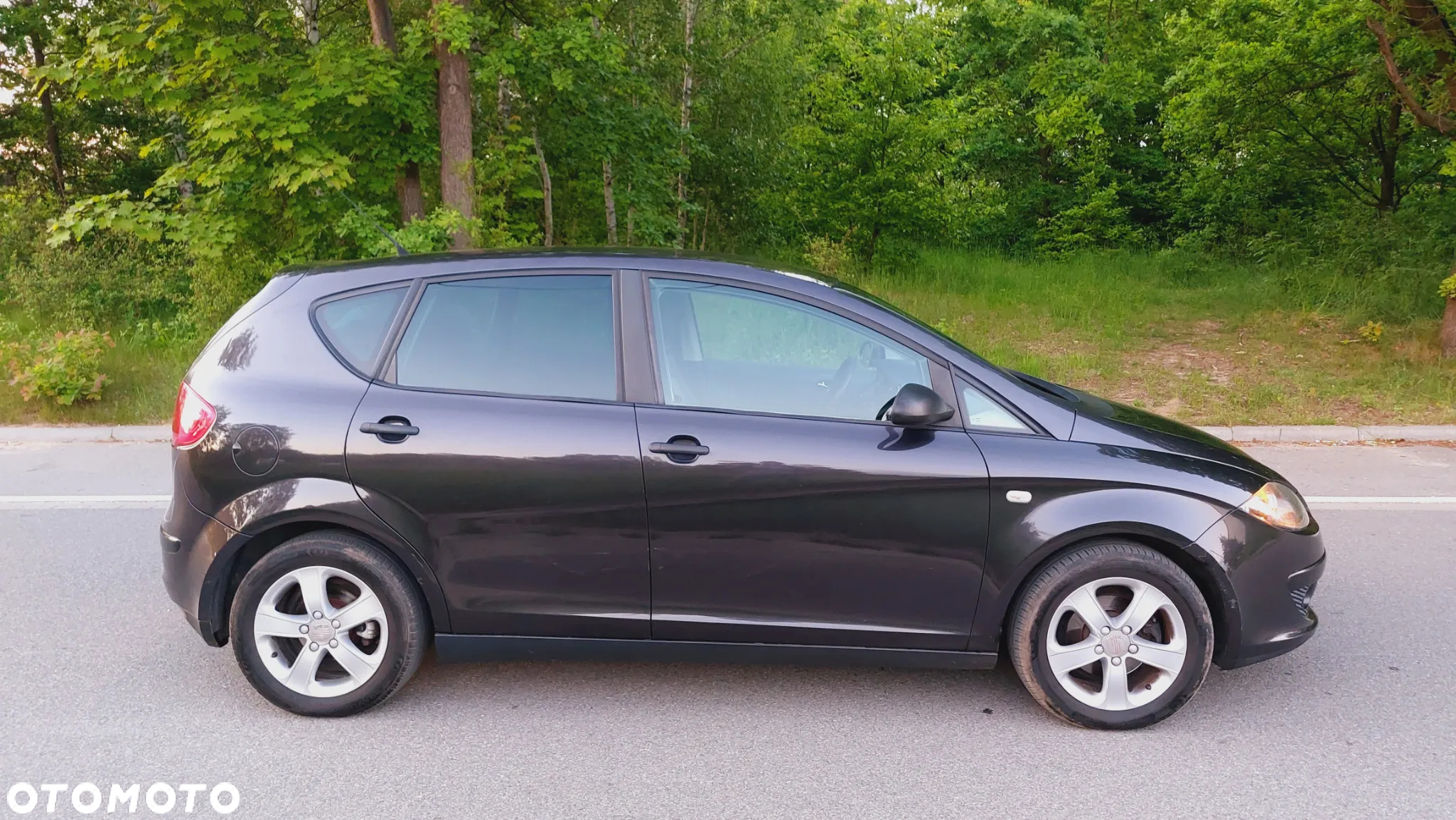 Seat Altea - 3