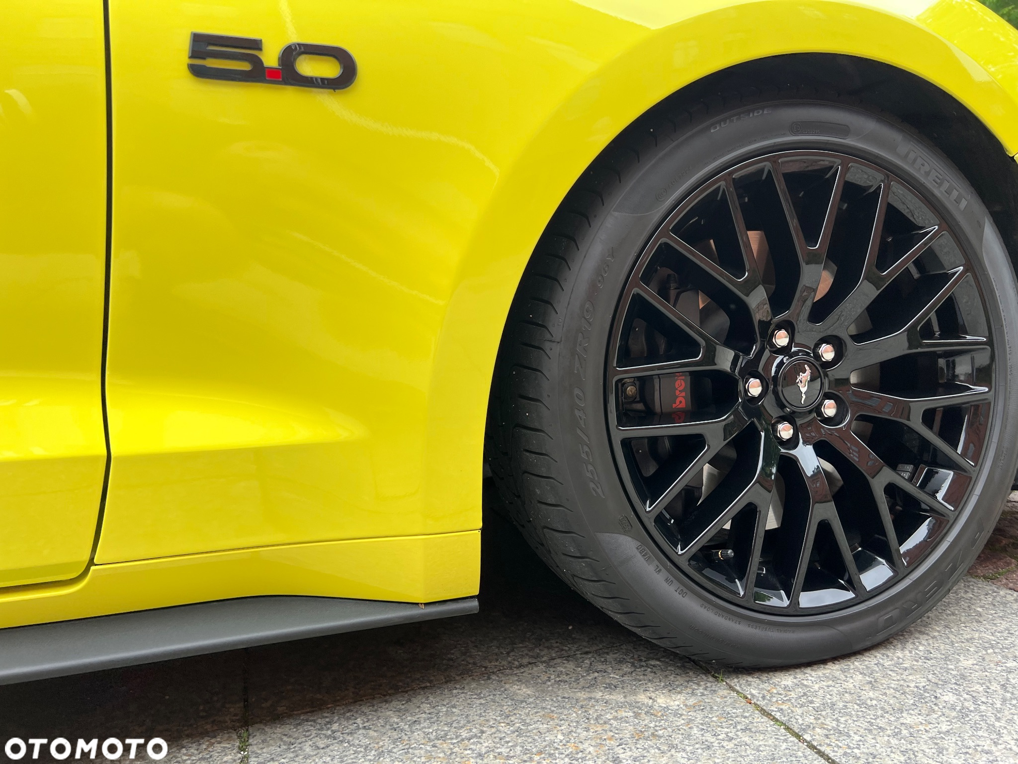Ford Mustang 5.0 V8 Mach 1 - 23
