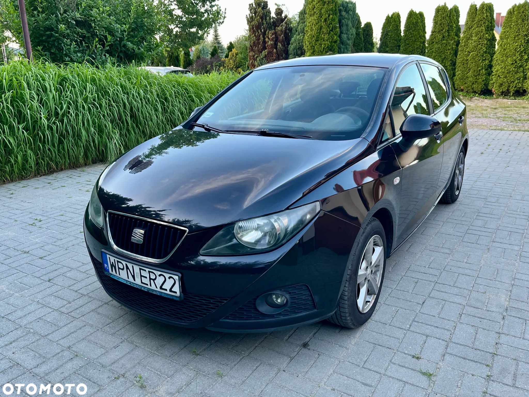 Seat Ibiza - 1