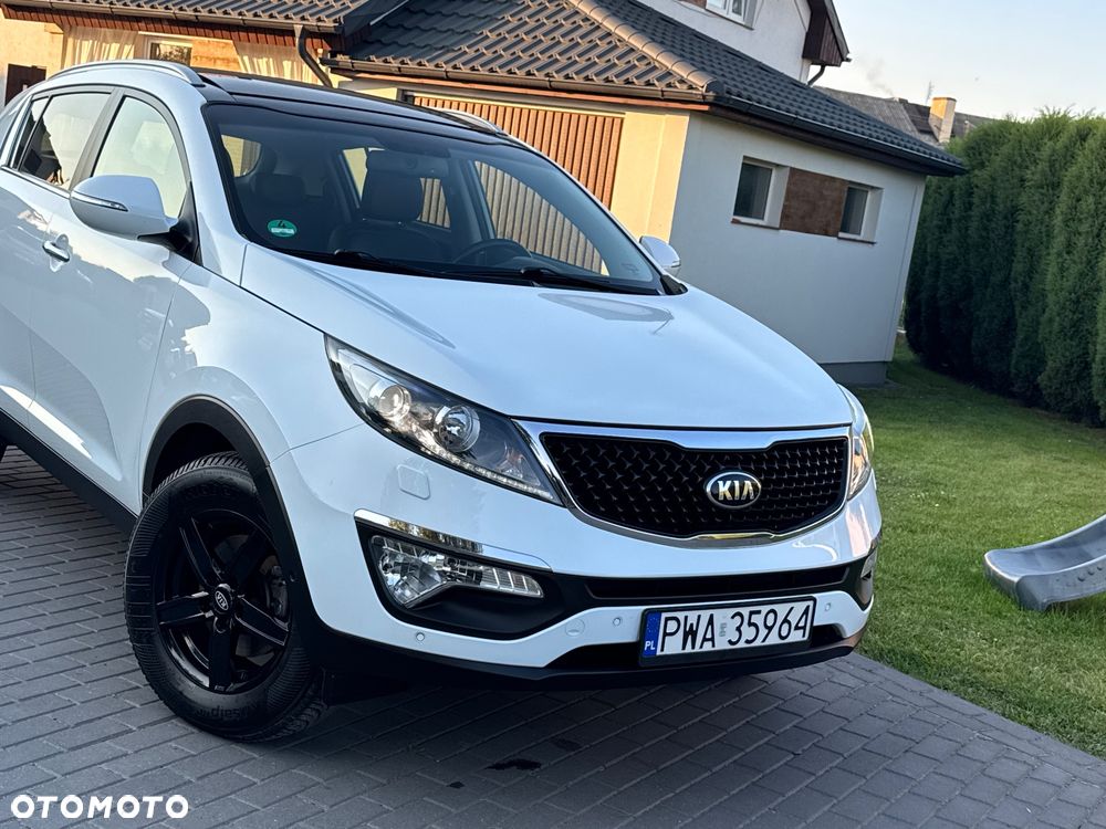 Kia Sportage - 1