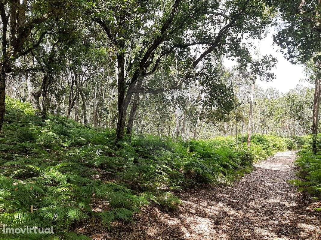 Terreno  para venda - Grande imagem: 4/10