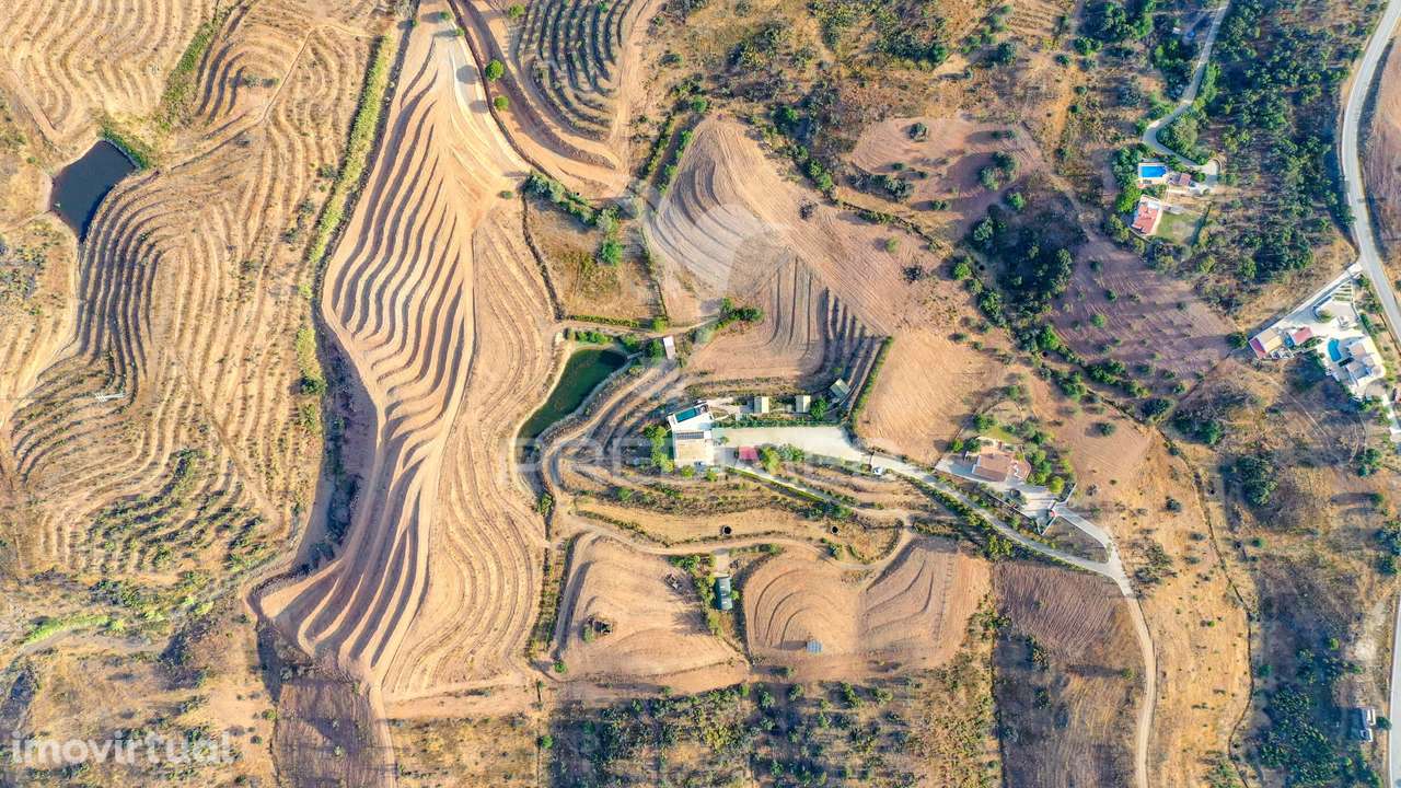 Quinta na Choupana com área 53253m2 -Cabanas de Tavira - Grande imagem: 3/38