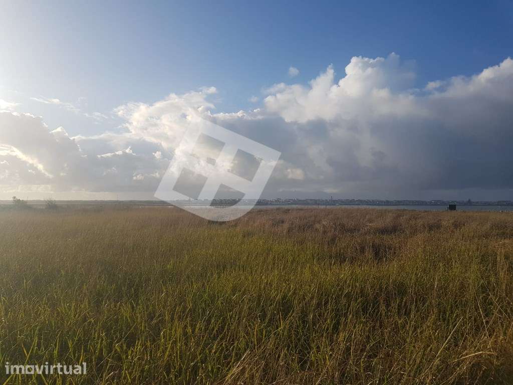 Terreno c/ Vista Ria - Gafanha da Encarnação - Grande imagem: 3/20