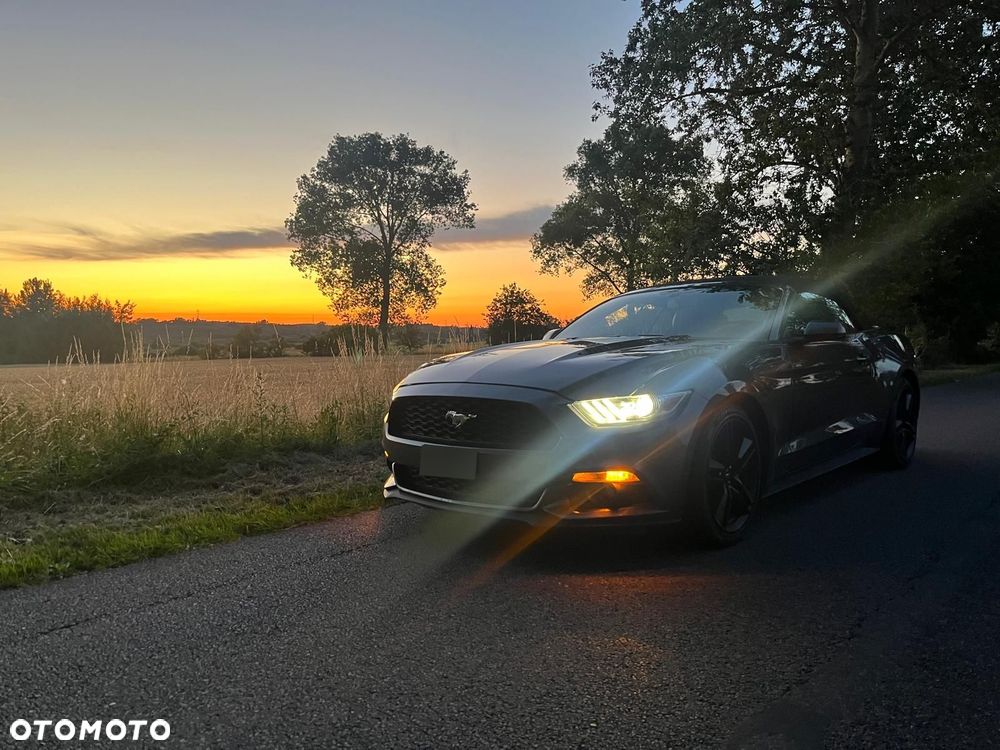 Ford Mustang - 10