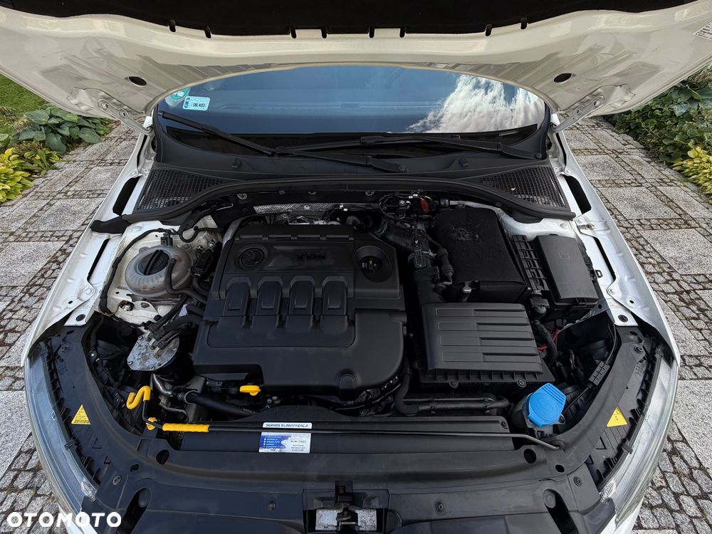 Skoda Octavia 1.6 TDI Ambition DSG - 23