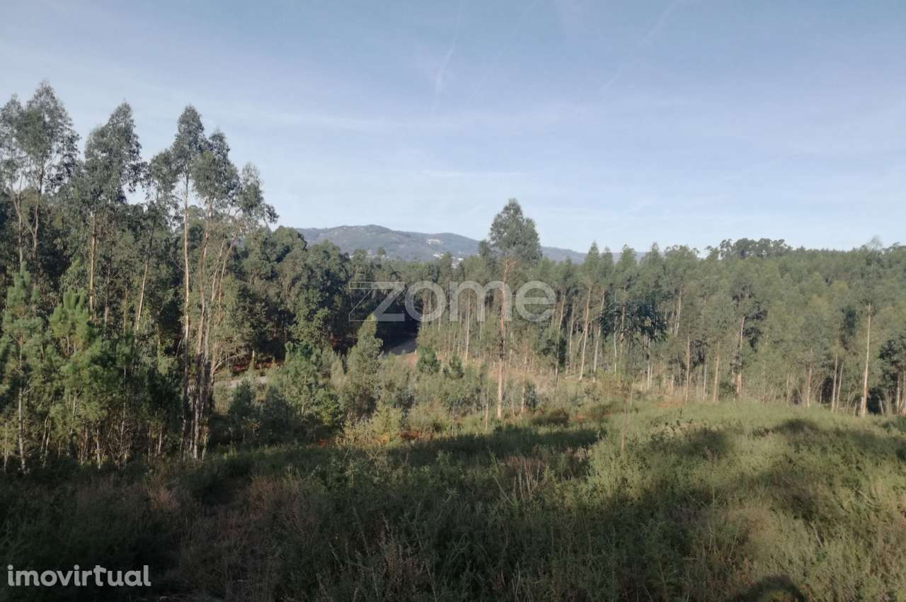 Terreno Rustico em Escariz São Martinho, Vila Verde - Grande imagem: 5/8
